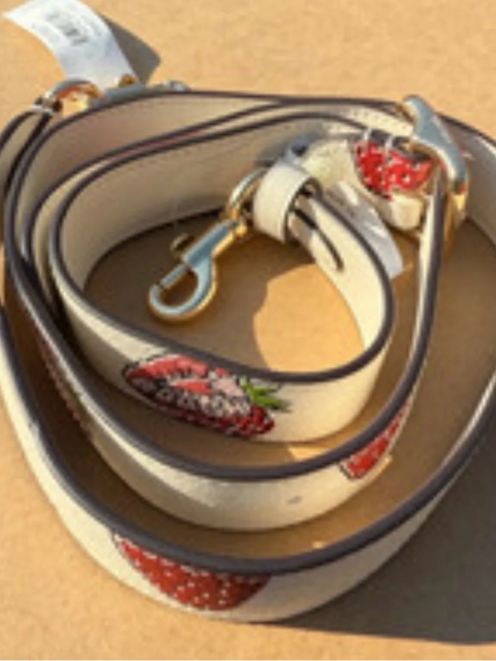 Coach featuring canvas dark